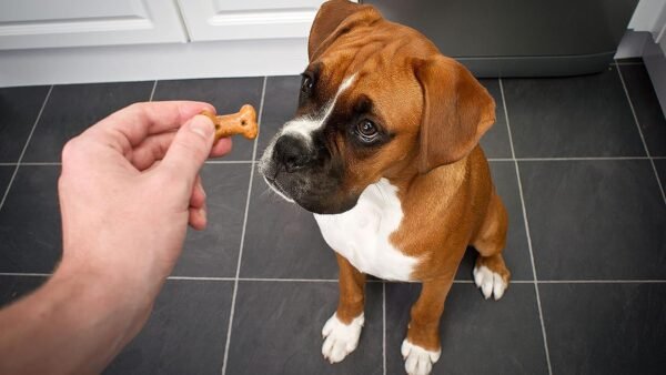 Assorted dog biscuits, dog food/treats, pet 400g